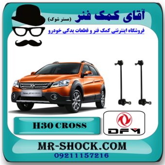 میل موجگیر H30 کراس (اچ سی کراس) با بهترین کیفیت و قیمت در فروشگاه آقای کمک فنر (مستر شوک) مرکز فروش تخصصی کمک فنر KYB  و قطعات یدکی خودرو