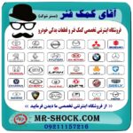 MR-SHOCK.COM