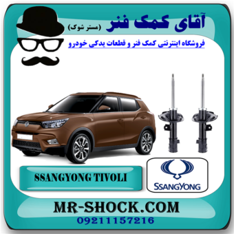کمک فنر جلو سانگ یانگ تیوولی 2015-2018 برند اصلی سانگ یانگ موتور با بهترین قیمت و کیفیت در فروشگاه آقای کمک فنر (مستر شوک)