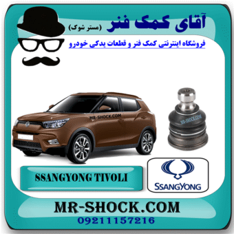 سیبک طبق پایین سانگ یانگ تیوولی برند اصلی سانگ یانگ موتور با بهترین قیمت در فروشگاه آقای کمک فنر (مستر شوک) مرکز فروش کمک فنر KYB و قطعات یدکی خودرو