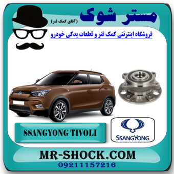 توپی بلبرینگ چرخ جلو سانگ یانگ تیوولی برند اصلی سانگ یانگ موتور با بهترین قیمت در فروشگاه مستر شوک (آقای کمک فنر) مرکز فروش کمک فنر KYB و قطعات یدکی خودرو