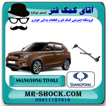 میل موجگیر جلو سانگ یانگ تیوولی 2015-2018 برند اصلی سانگ یانگ موتور با بهترین قیمت در فروشگاه آقای کمک فنر (مستر شوک) مرکز فروش کمک فنر KYB و قطعات یدکی خودرو