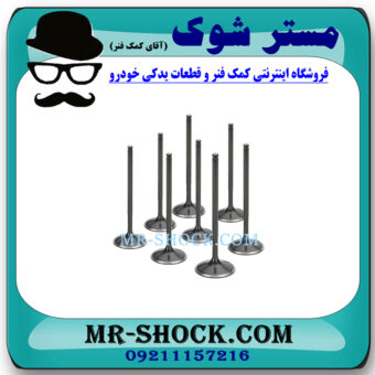 سوپاپ هوا نیسان رونیز برند اصلی ساخت ژاپن با بهترین قیمت در فروشگاه مستر شوک (آقای کمک فنر) مرکز فروش کمک فنر KYB و قطعات یدکی خودرو