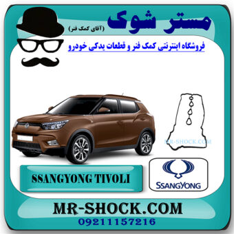 واشر درب سوپاپ سانگ یانگ تیوولی برند اصلی سانگ یانگ موتور با بهترین قیمت در فروشگاه مستر شوک (آقای کمک فنر) مرکز فروش کمک فنر KYB و قطعات یدکی خودرو