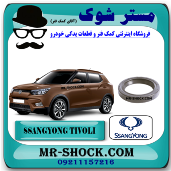 کاسه نمد سر میل لنگ سانگ یانگ تیوولی برند اصلی سانگ یانگ موتور با بهترین قیمت در فروشگاه مستر شوک (آقای کمک فنر) مرکز فروش قطعات یدکی خودرو
